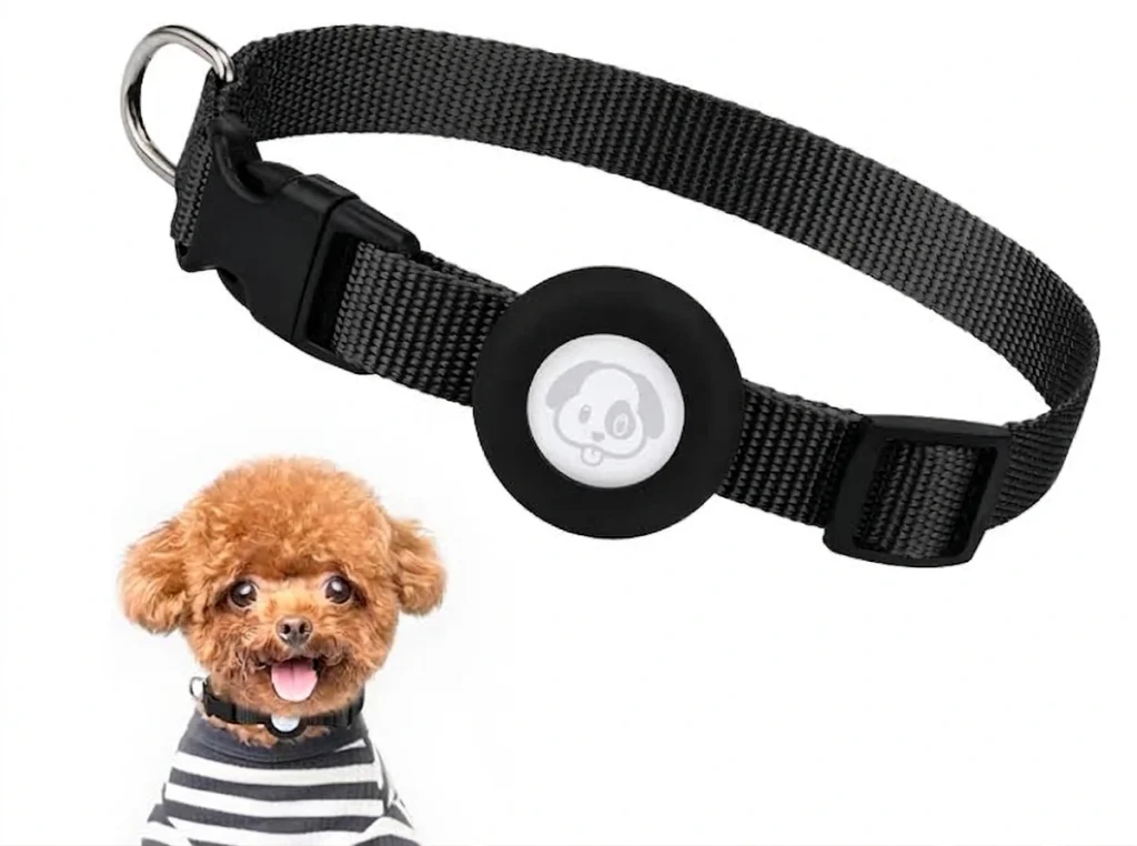 Best Small Dog Collar for Off-Leash Tracking