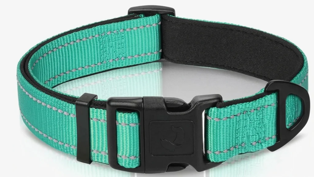 Best Budget Collar for Large Dogs