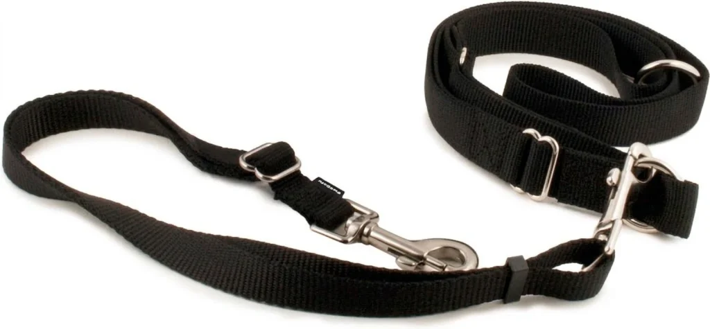 Pet Safe Hands-Free Leash