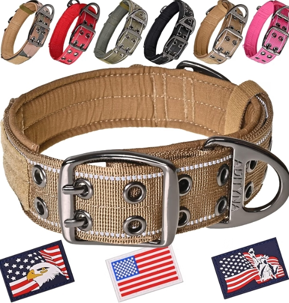 best dog collar for large dogs 