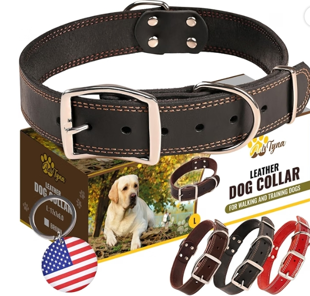 Best dog collar for large dogs