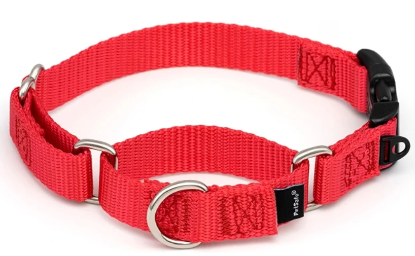 best collar for small dogs