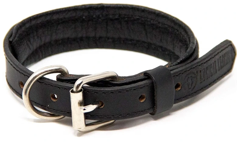 best leather collar for small dogs