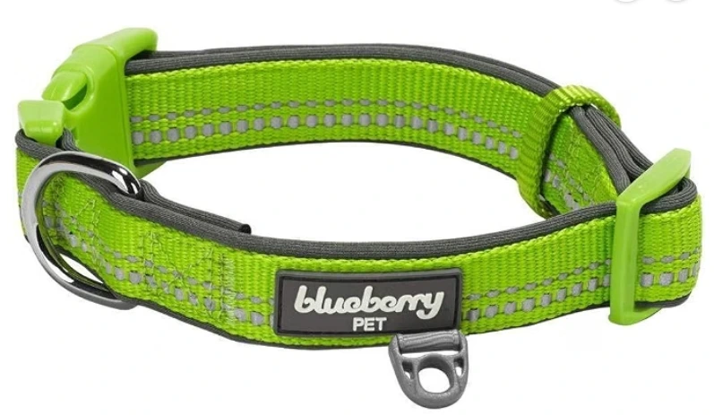 best collar for small dogs