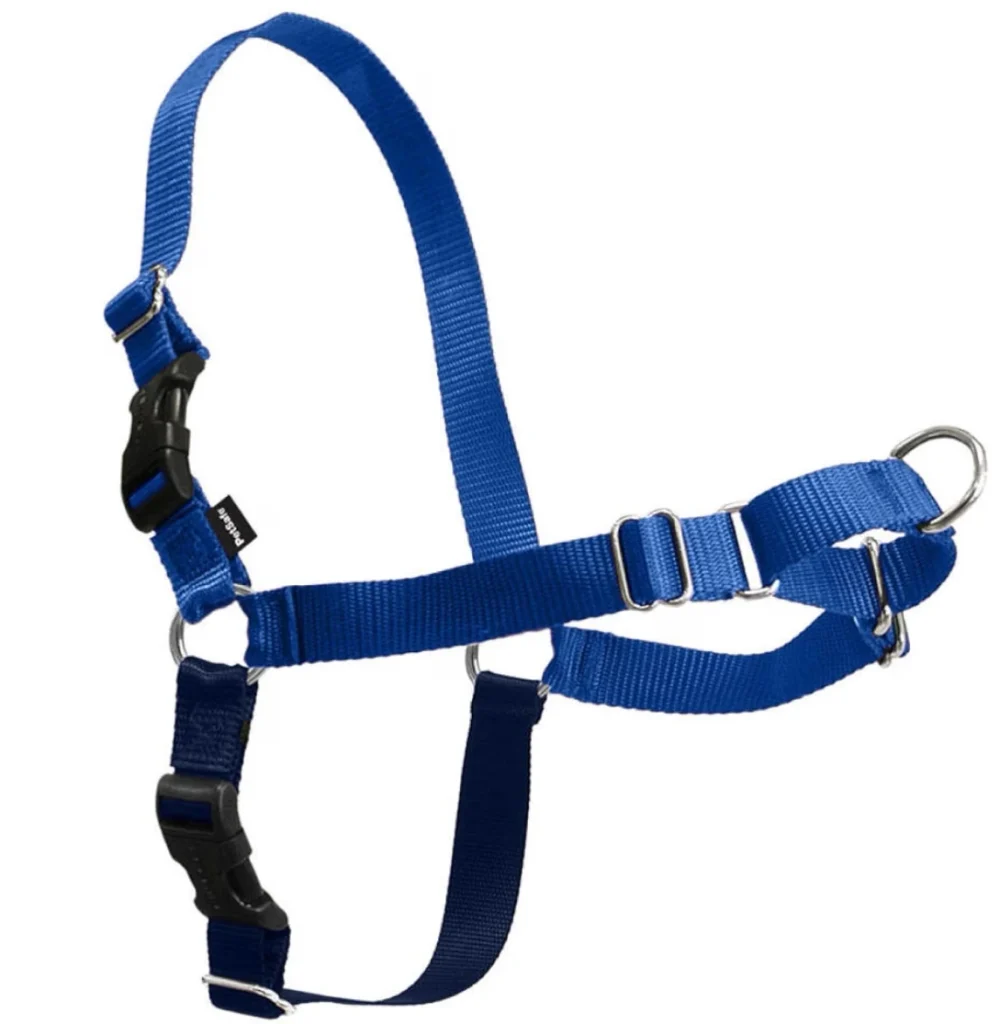 PetSafe Easy Walk no-pull dog harness with front martingale loop