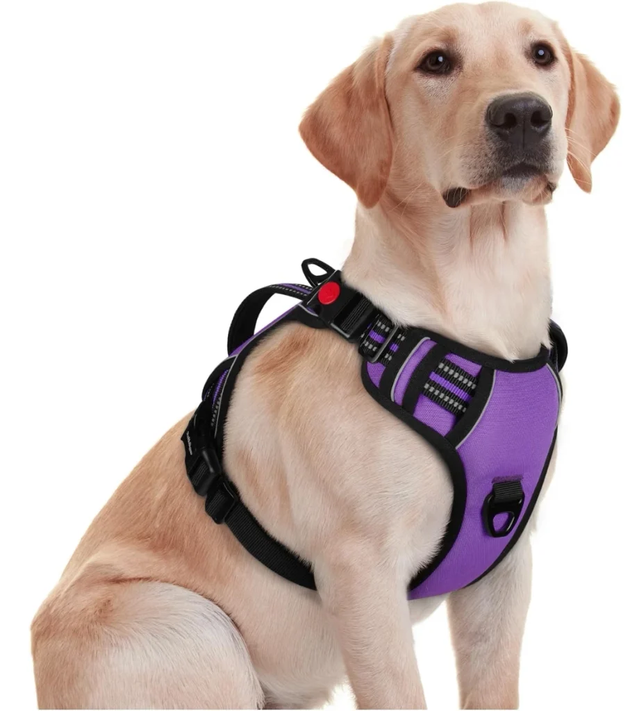 Rabbitgoo dual-clip no-pull dog harness for strong pullers