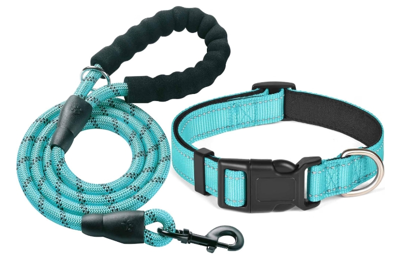 Ladoogo turquoise padded dog collar and matching reflective rope leash set, ideal selection for the best dog collar for puppies.   