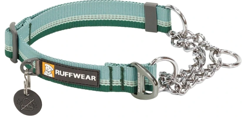 Best Martingale Dog Collar