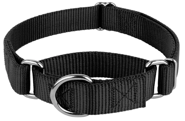 best budget collar