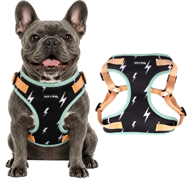 French bulldog wearing a black lightning pattern Jack & Bully step-in neoprene harness, ideal as the best harness for a bulldog puppy.