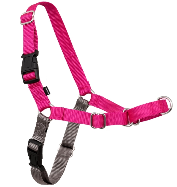 Pet Safe Easy Walk Harness