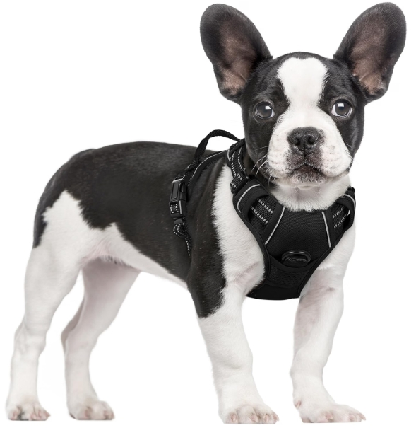 Rabbitgoo No Pull Dog Harness