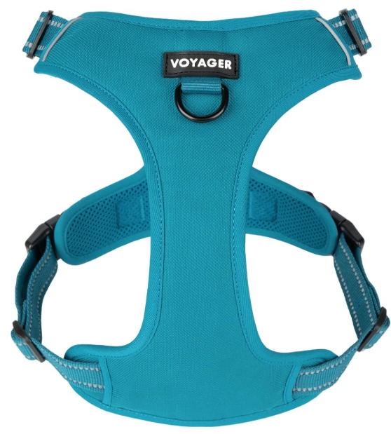Voyager Dual Attachment Harness