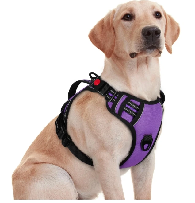 Rabbitgoo Dual-Clip No-Pull Harness