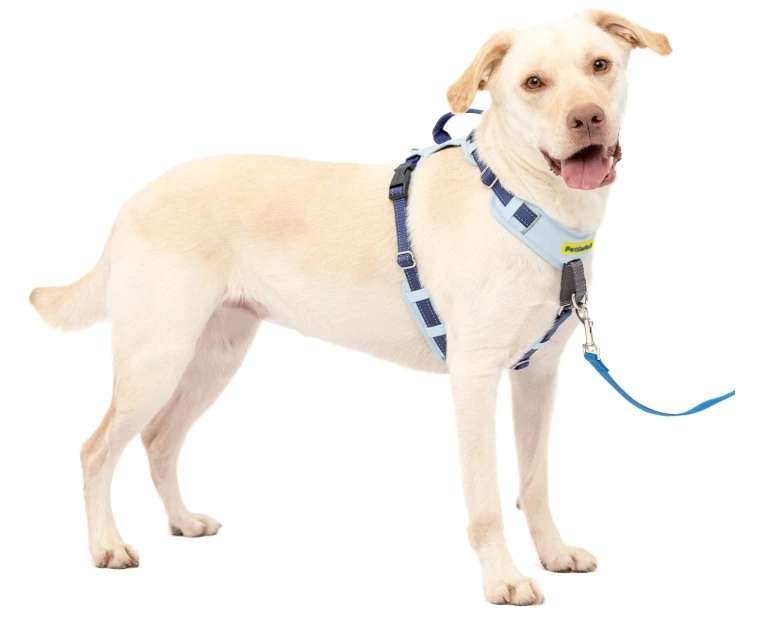 PetSafe Easy Walk Comfort No-Pull Harness