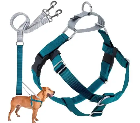 Red 2 Hounds Design Freedom No-Pull Harness featured as the best golden retriever harness for strong pullers.