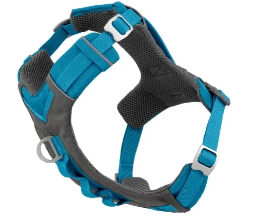 Blue Kurgo Journey Air Harness featured as the best golden retriever harness for hiking and active dogs.