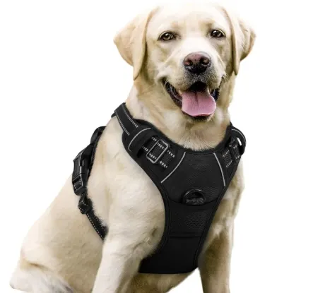 Black Rabbitgoo No-Pull Dog Harness worn by a retriever, featured as the best budget golden retriever harness