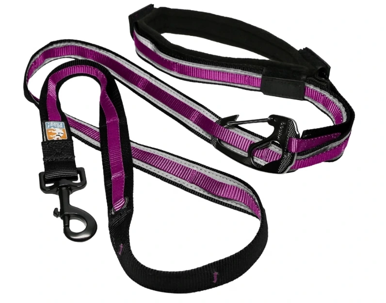 Dog leashes