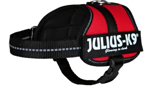 Red and black Julius-K9 dog harness with a reflective chest strap and glow-in-the-dark logo patch.   