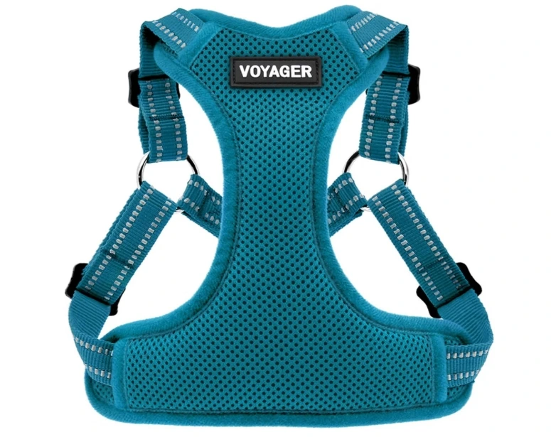 Teal Voyager breathable air mesh dog harness featuring reflective stitching along the adjustable straps and metal ring attachments.