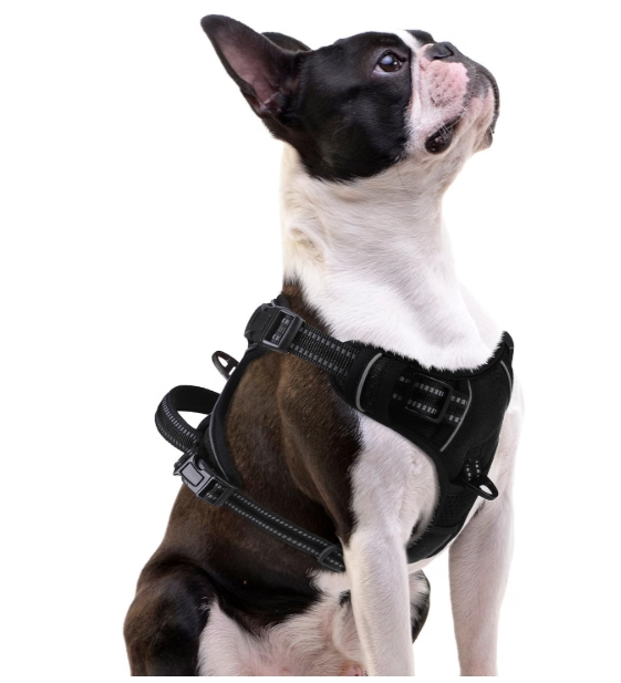 Triangular no-pull dog harness with dual leash clips - best dog harness for a pug