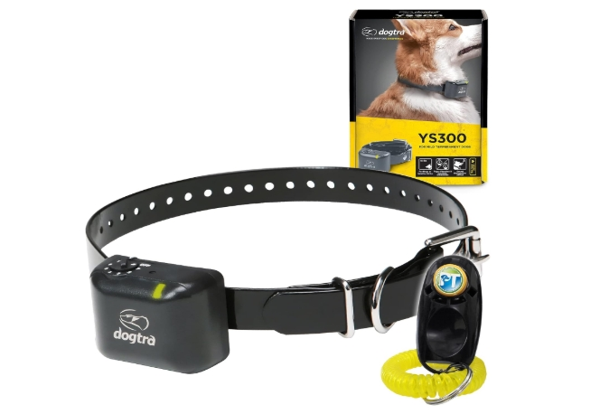 best shock collar for barking