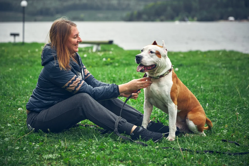 seresto collar review
