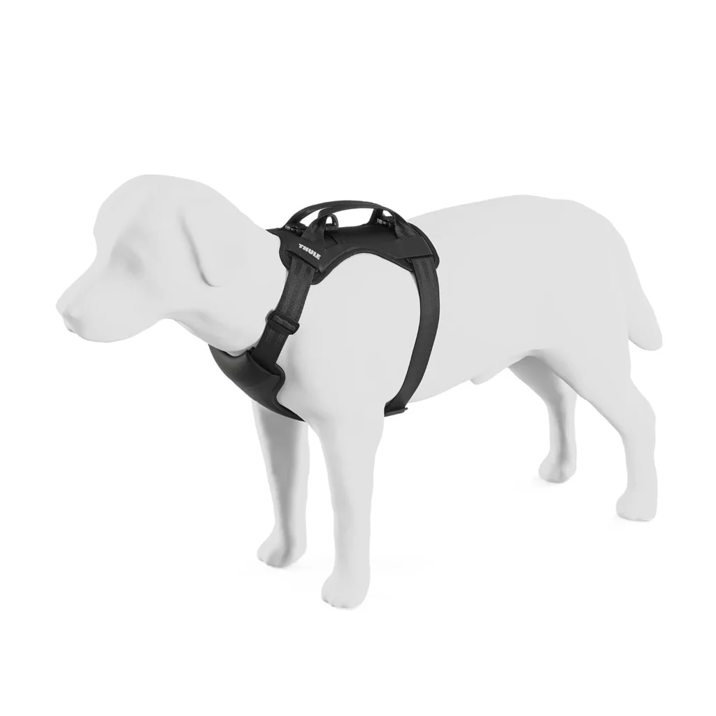 Black Thule Cappy dog car harness with padded chest plate and seatbelt loops shown on a white dog mannequin.