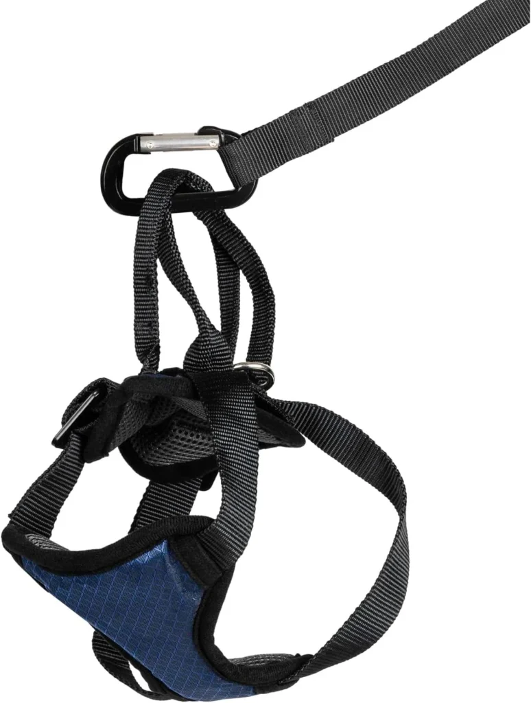 best dog car harness