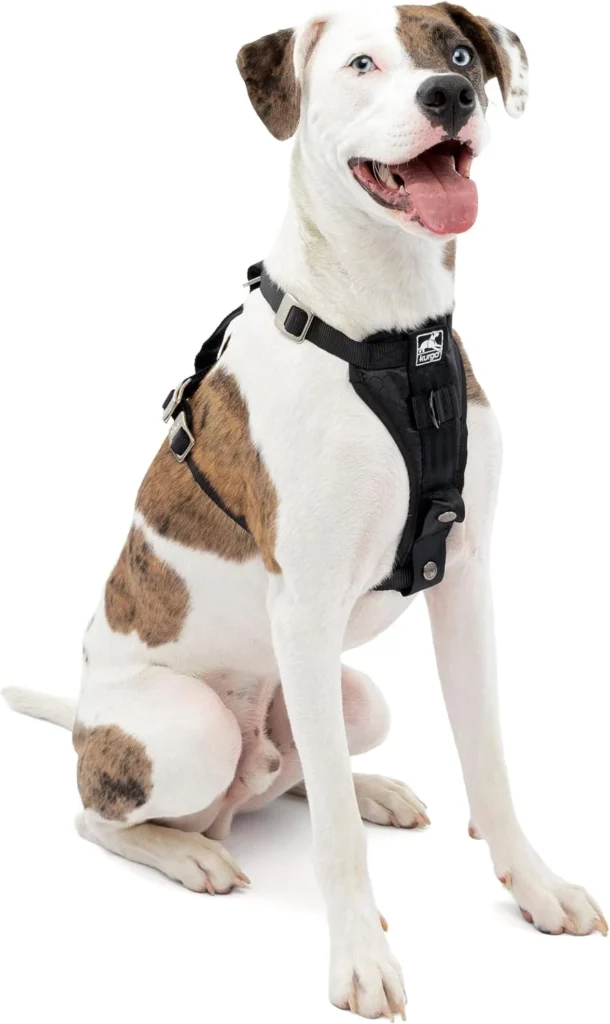 best dog car harness
