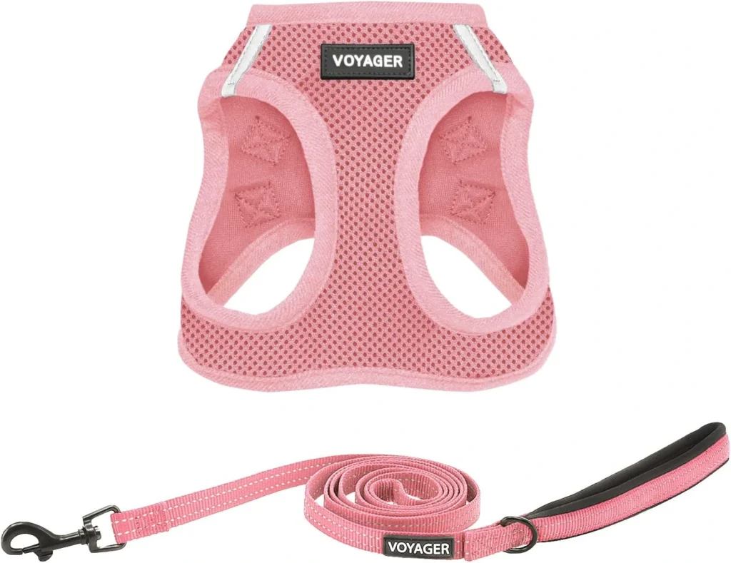 best dog harness for lab puppies