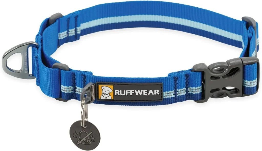 best Collar for Puppy Training 