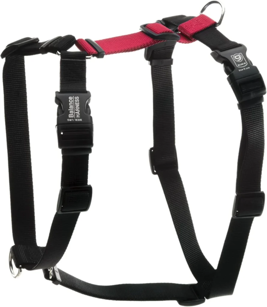 Blue-9 Balance Harness featured as the best front clip harness with adjustable black and red nylon straps