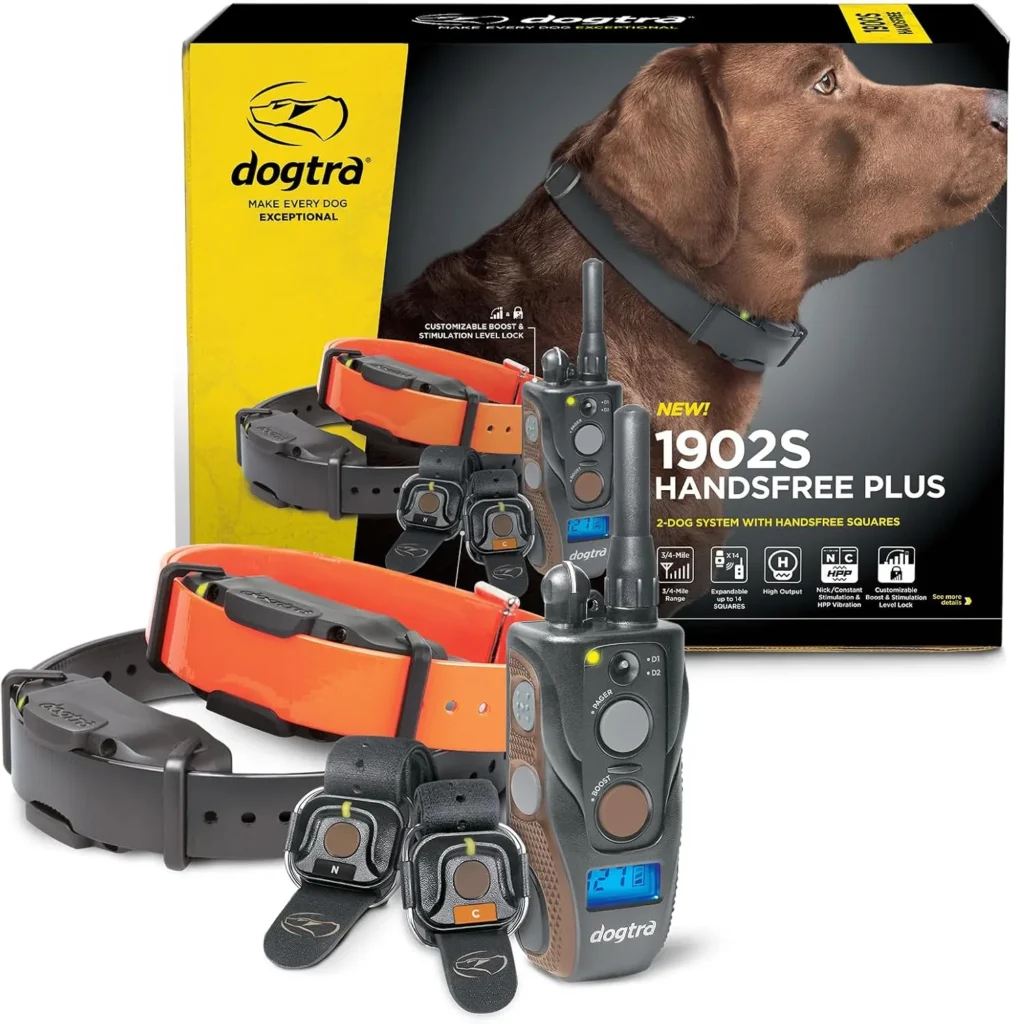 best training collar for stubborn dog