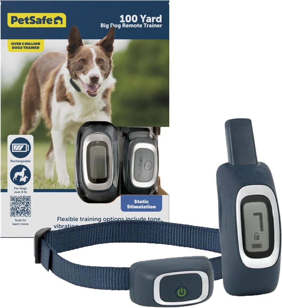 Best E-Collar for Dog Training 