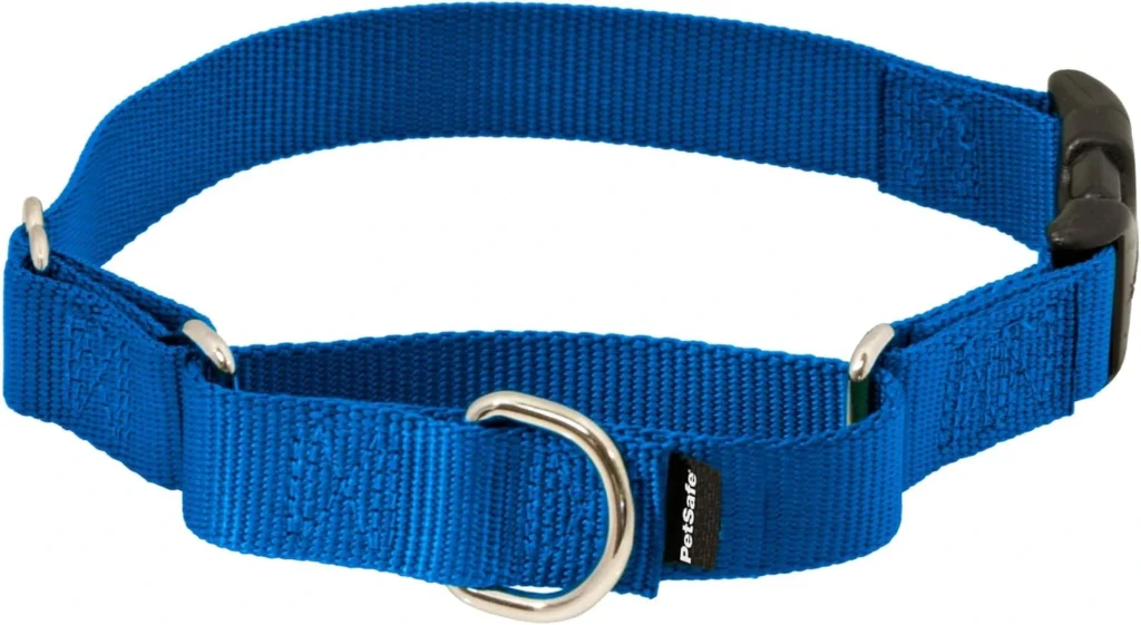 Blue PetSafe Petite Martingale collar featuring a narrow 3/8-inch strap, quick-snap buckle, metal D-ring, and escape-proof loop mechanism for small and toy breed puppies.