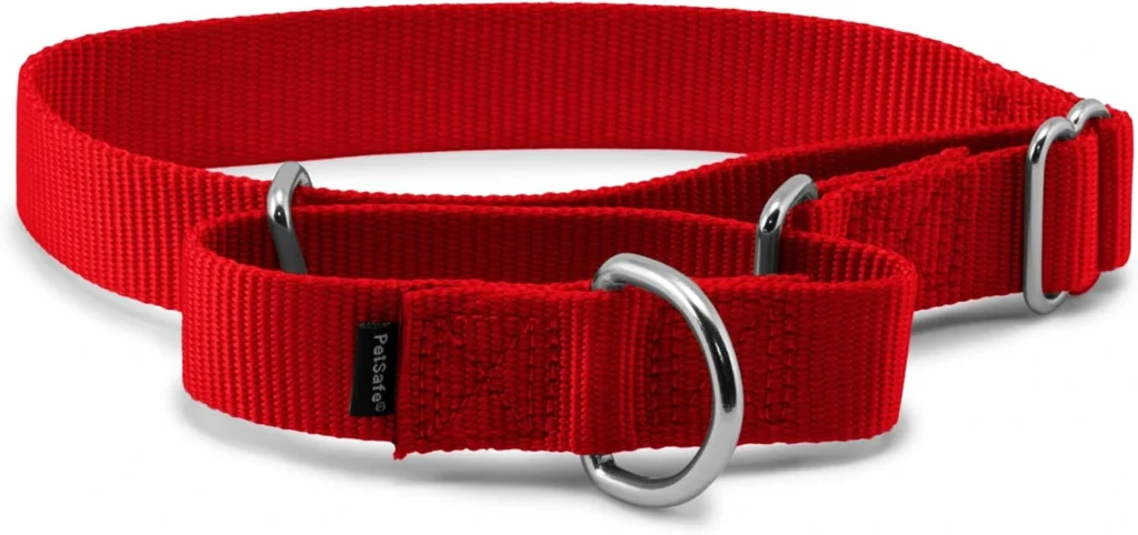 best collar for puppy training