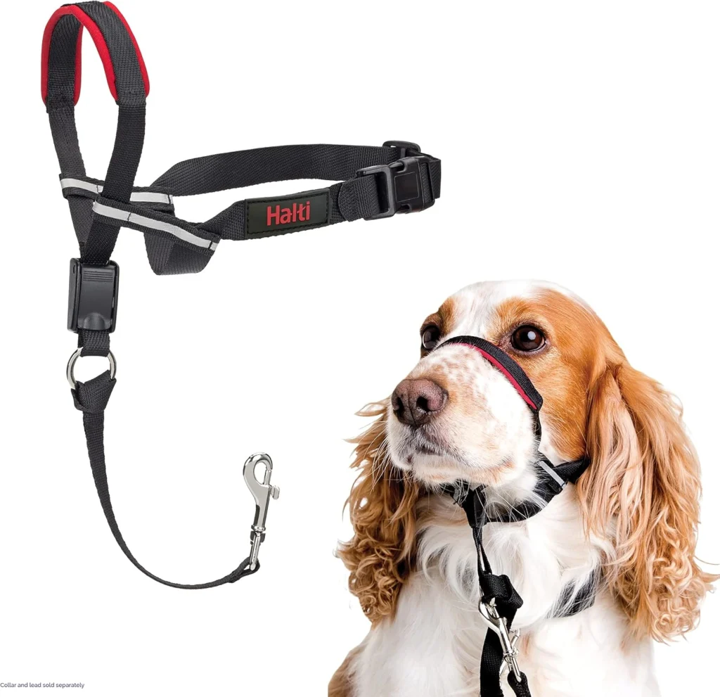 Black Halti Optifit Headcollar with red padded nose band and safety link, demonstrated on a spaniel dog to show secure facial fit.