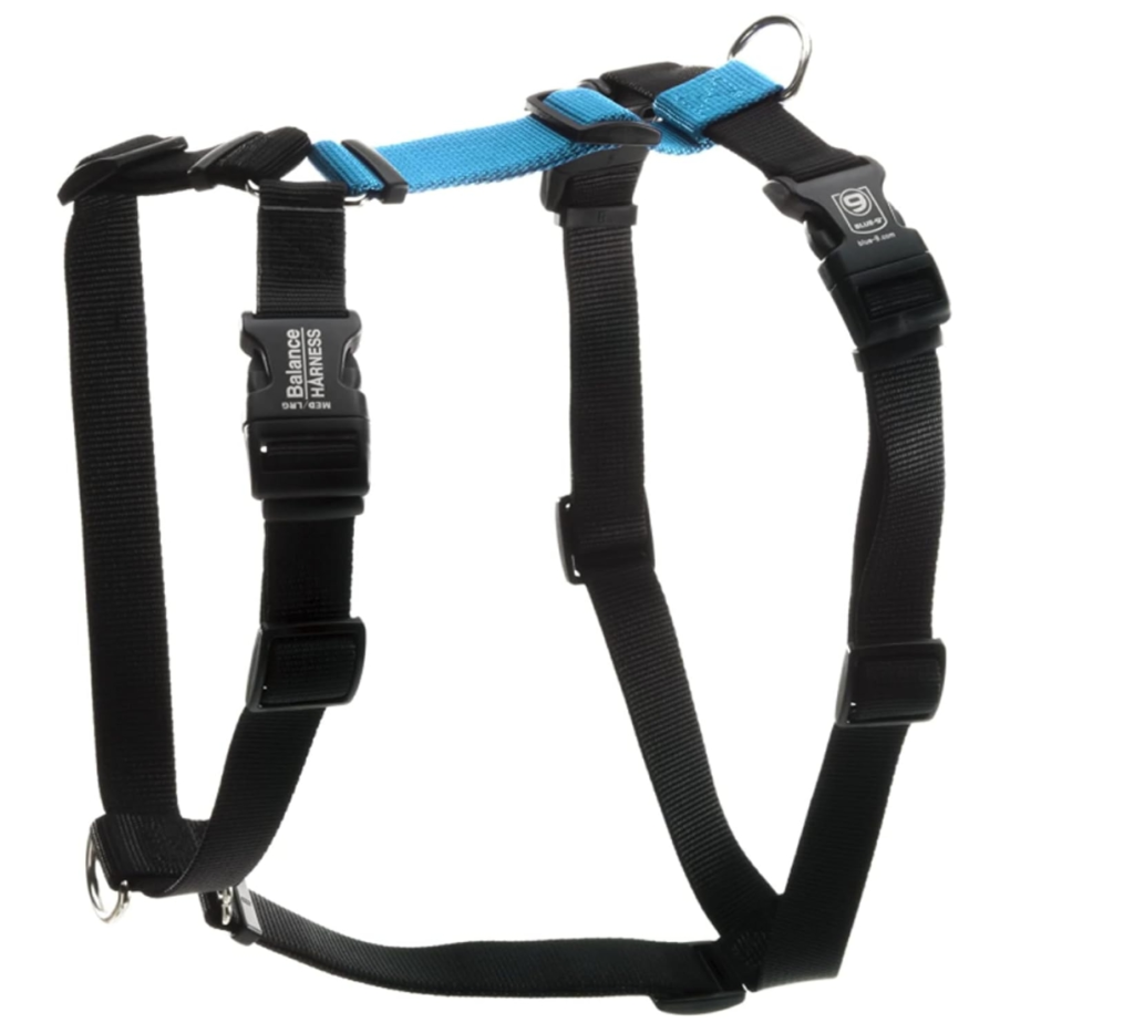 best dog harness for walking 