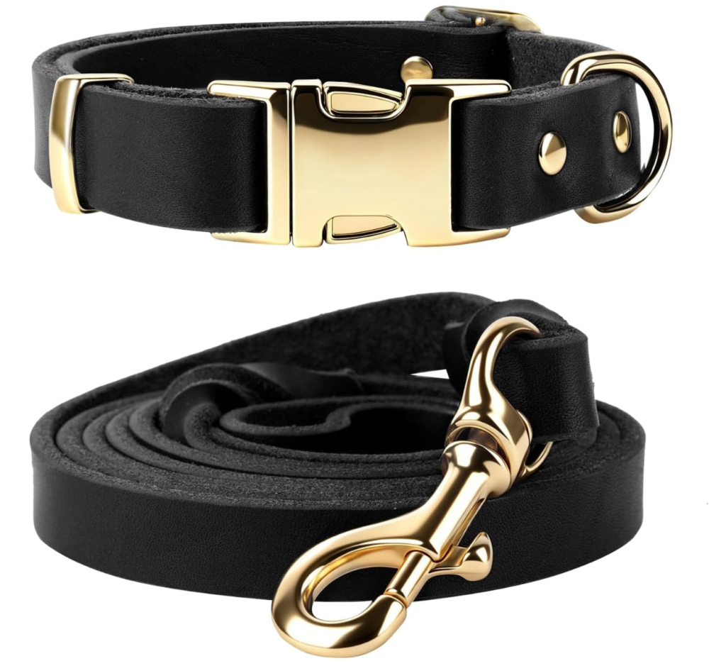 best dog collars and leashes