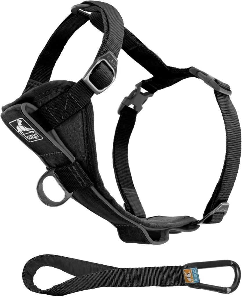 Black Kurgo Tru-Fit Smart Harness with seat belt tether – Best Medium Dog Harness