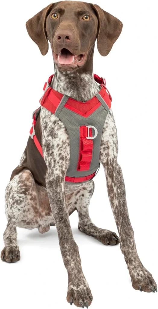 Kurgo Journey Air Dog Harness with front D-ring, breathable mesh vest, and top control handle shown as a best front clip harness option