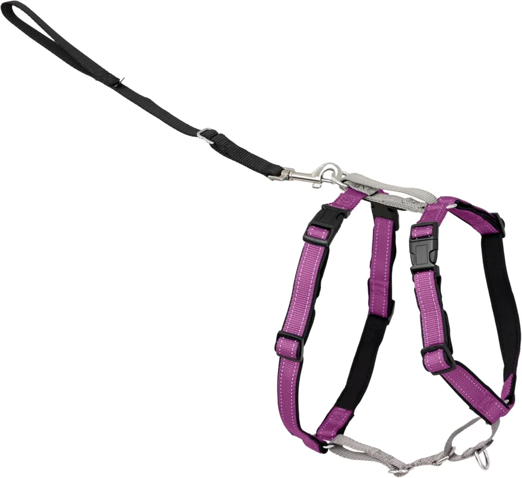 PetSafe 3 in 1 Dog Harness in purple featuring a front no-pull D-ring, padded straps, and a leash attachment shown as a best front clip harness option